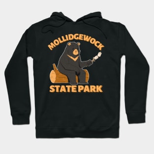 Mollidgewock State Park Camping Bear Hoodie